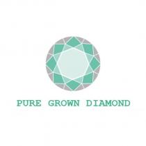 PURE GROWN DIAMOND 及圖