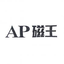 AP 磁王