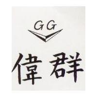 偉群及圖 GG 