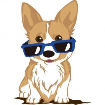 眼鏡柯基犬圖