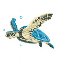 海龜圖