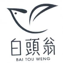 白頭翁 BAI TOU WENG 及圖