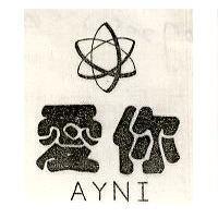 愛你及圖 AYNI