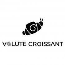 VOLUTE CROISSANT 及圖