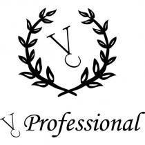 VC Professional 及圖