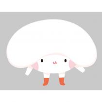 菇設計圖