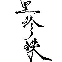 黑珍珠 HJ 125 