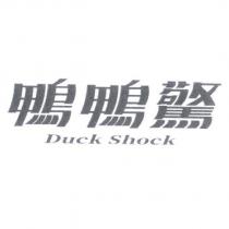 鴨鴨驚 Duck Shock