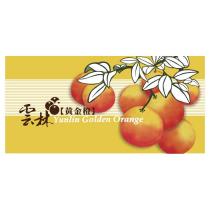雲林 黃金橙 Yunlin Golden Orange 及圖