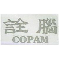 詮腦 COPAM 