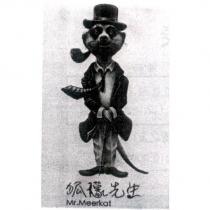 狐獴先生 Mr.Meerkat 及圖