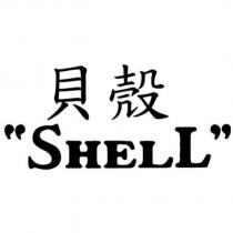 貝殼 SHELL