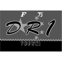F 万 DR1 YOU WEI 及圖