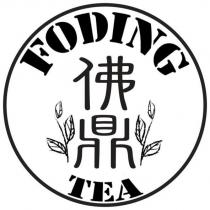 FODING TEA 佛鼎 及圖