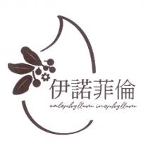 伊諾菲倫 calophyllum inophyllum 及圖