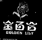 金百合 GOLDEN LILY 及圖
