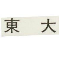 東大