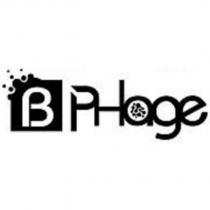 BPhage 及圖
