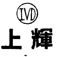 上輝及圖 IVD 