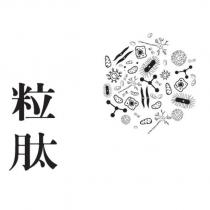 粒肽及圖