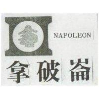拿破崙及圖 NAPOLEON 
