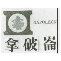 拿破崙及圖 NAPOLEON 