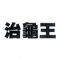 治龜王
