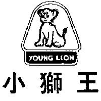 小獅王及圖 YOUNG LION 