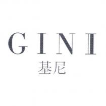 基尼 GINII