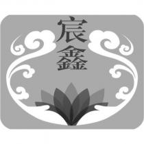 宸鑫及圖