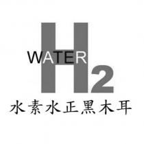 水素水正黑木耳及圖
