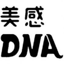 美感 DNA