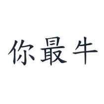 你最牛