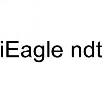 iEagle ndt