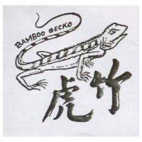 竹虎及圖 BAMBOO GECKO
