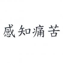 感知痛苦