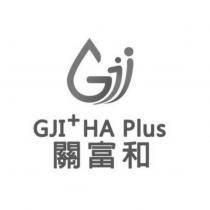 關富和 GJI+ HA Plus 及圖