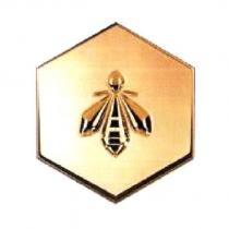 Bee and Hexagon Device