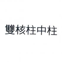 雙核柱中柱