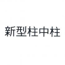 新型柱中柱