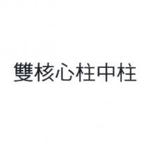 雙核心柱中柱