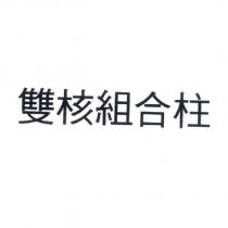 雙核組合柱