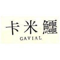 卡米鱷 GAVIAL 