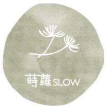 蒔蘿 SLOW 及圖