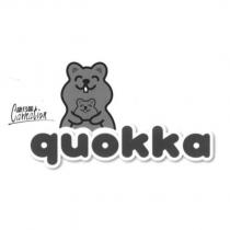 康乃馨 Carnation quokka 及圖