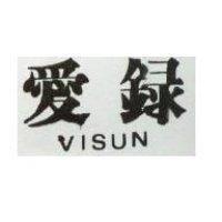 愛錄 VISUN 