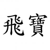 飛寶