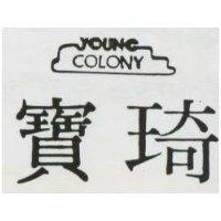 寶琦 YOUNG COLONY 及圖