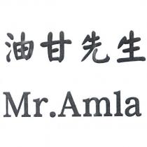 油甘先生 Mr.Amla