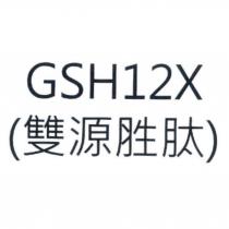 GSH12X